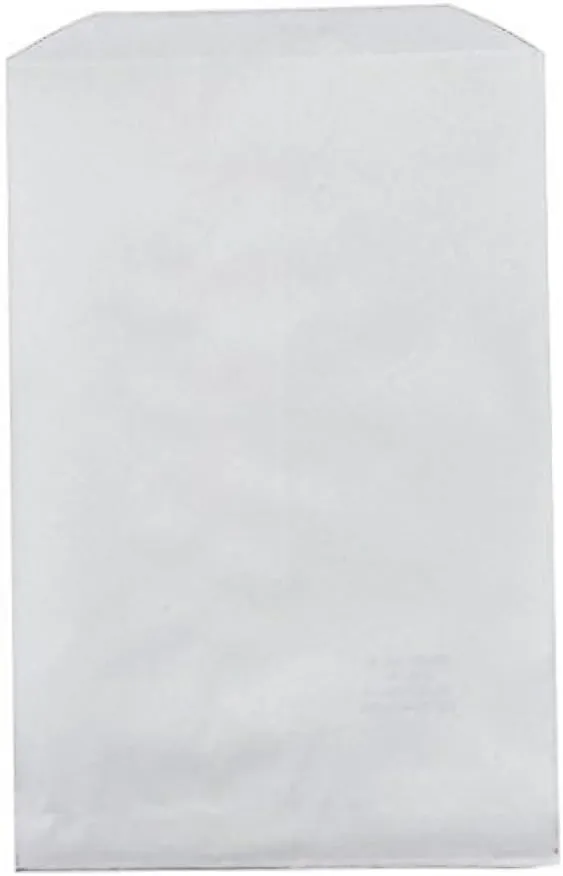 100 pcs 6" X 9" White Kraft Paper Bags for Candy, Cookies, Doughnut, Crafts, Party Favors, Sandwich, Jewelry, Merchandise, Gift Bags