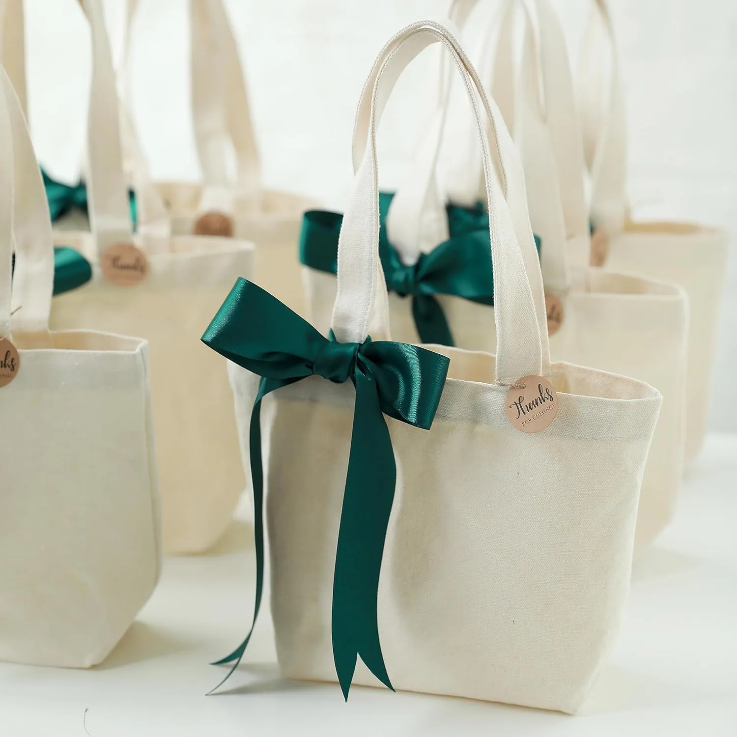 10" x 8" x 3"Mini Canvas Tote Bags for Fabric Painting Cotton Sturdy Bag Heavy-duty Gift Bags