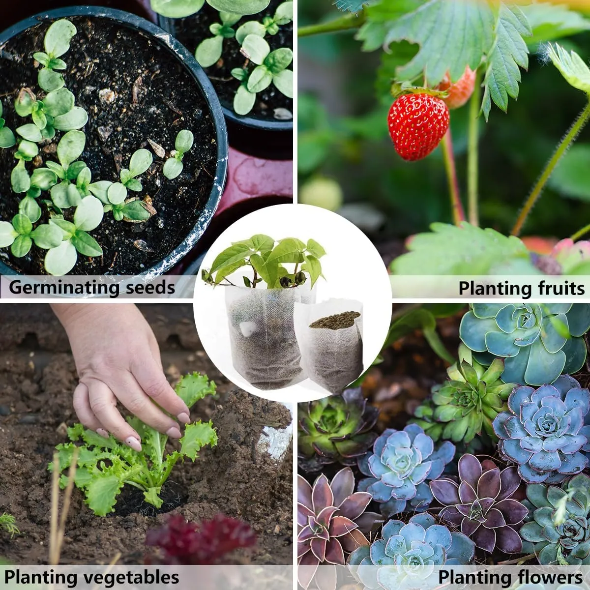 200Pcs Nursery Growing Bags，5.8"x5"nonwoven Fabric Seedlings Grow Bag for Plants，Fabric Plant pots,Potato, Flower, Tomato Solid Seed Starter Bags