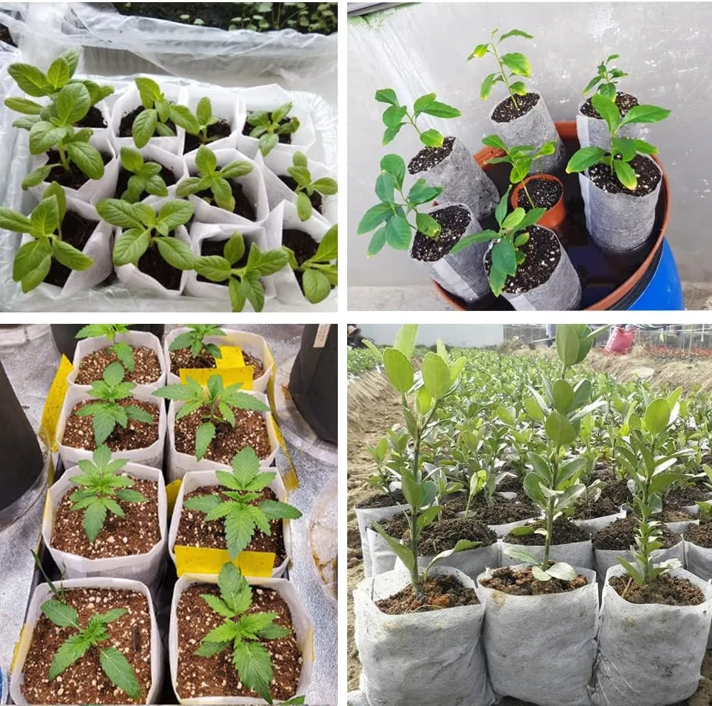 200Pcs Nursery Growing Bags，5.8"x5"nonwoven Fabric Seedlings Grow Bag for Plants，Fabric Plant pots,Potato, Flower, Tomato Solid Seed Starter Bags