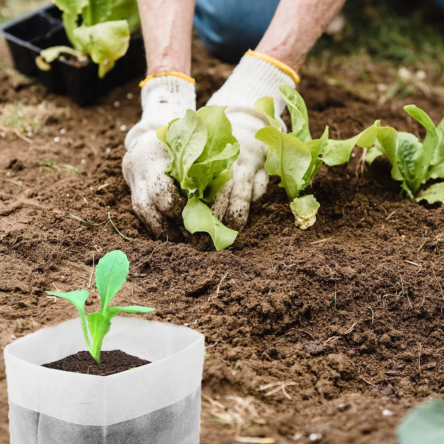 200Pcs Nursery Growing Bags，5.8"x5"nonwoven Fabric Seedlings Grow Bag for Plants，Fabric Plant pots,Potato, Flower, Tomato Solid Seed Starter Bags