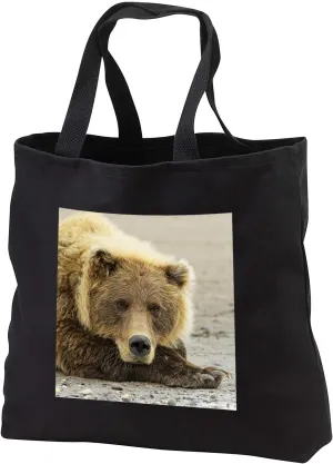 3dRose Brown bear, Silver Salmon Creek, Lake Clark National Park, Alaska. - Tote Bags (tb_345805)