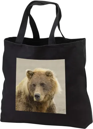3dRose Brown bear, Silver Salmon Creek, Lake Clark N.P, Alaska. - Tote Bags (tb_345794)