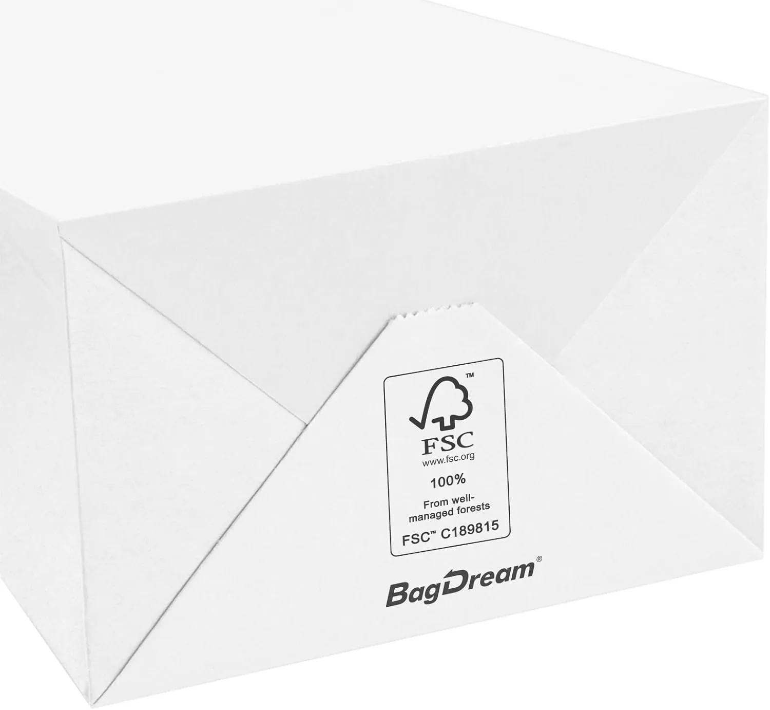 BagDream Gift Bags 100Pcs 5.25x3x8 Small Kraft Paper Gift Bags with Handles Bulk, White Paper Sacks for Wedding Birthday Party favor, Retail, Merchandise, Small Grocery