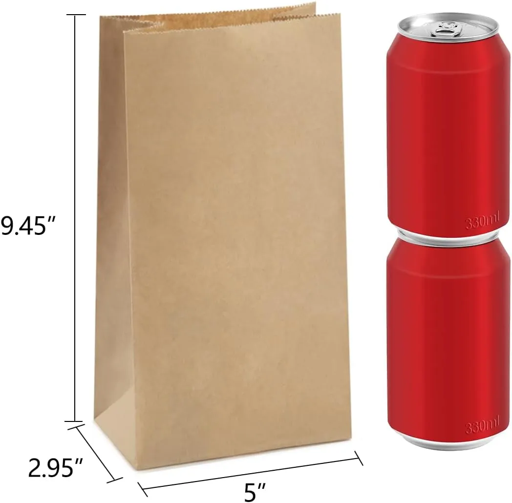 BagDream Paper Lunch Bags 4lb 100Pcs Kraft Brown Snack Bags Bulk, for Craft, Lunch, Bread, Sandwich, Candy, Treats, 5x2.95x9.45 Inches Recyclable Brown Small Paper Sacks