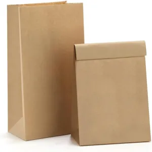 BagDream Paper Lunch Bags 4lb 100Pcs Kraft Brown Snack Bags Bulk, for Craft, Lunch, Bread, Sandwich, Candy, Treats, 5x2.95x9.45 Inches Recyclable Brown Small Paper Sacks