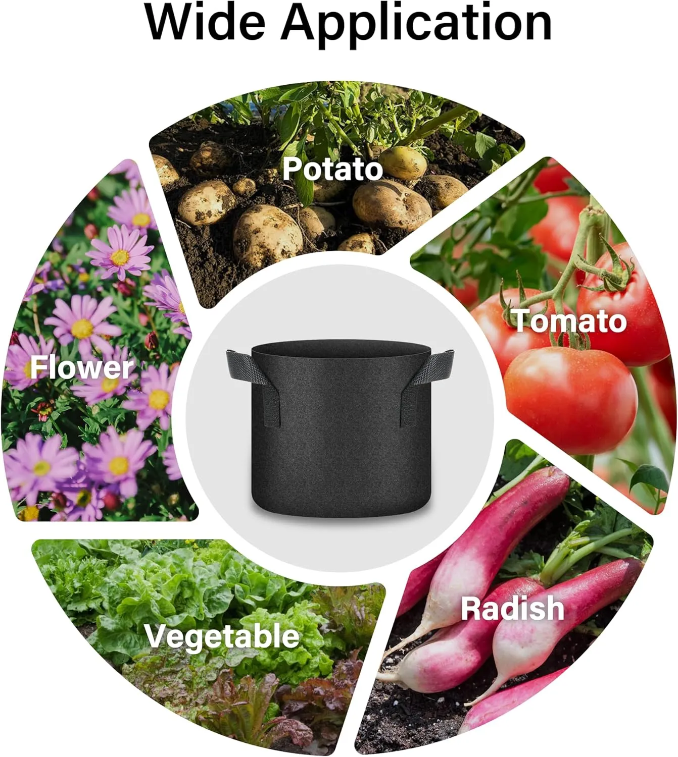 HealSmart Plant Grow Bags 3 Gallon, Tomoato Planter Pots 10-Pack with Handles, Aeration Nonwoven Fabric, Heavy Duty Gardening Planter for Vegetable, Herbs and Flowers, Black 2024 Version