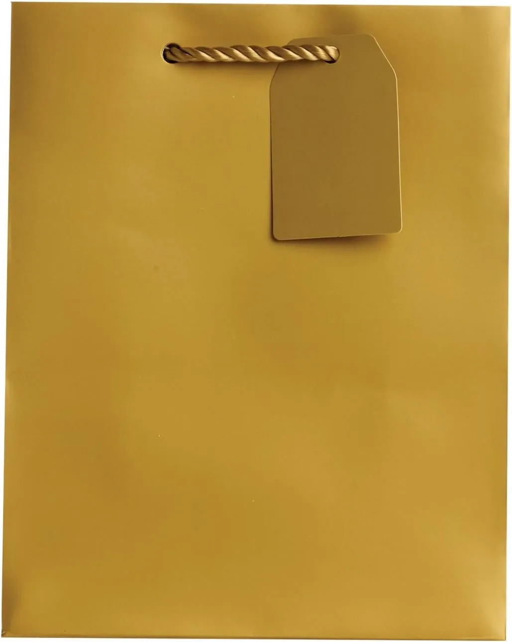 Jillson Roberts 6-Count Medium 8" x 10" x 4" All-Occasion Gift Bags Available in 20 Solid Colors, Gold Matte