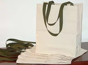 Made in USA Cotton Canvas Reusable Grocery Tote Bags w/Long Green Handles - Regular Size - Two Pack