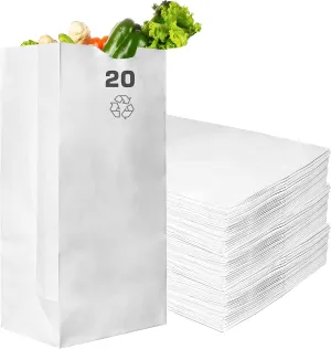 Paper Lunch Bags 20 Lb White Paper Bags 20LB Capacity - Kraft White Paper Bags, Bakery Bags, Candy Bags, Lunch Bags, Grocery Bags, Craft Bags - #20 Large Lunch Paper Bags / Kraft Paper Sacks by EcoQuality (100, #20 - 20LB)