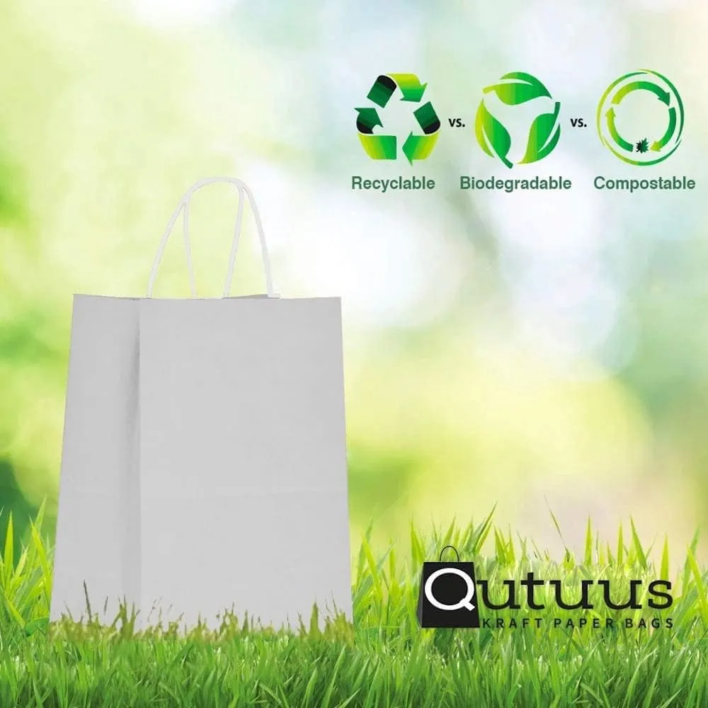 Qutuus White Paper Bags 10x5x13 50 Pcs White Paper Gift Bags with Handles Bulk Large Gift Bags, Paper Sacks, Shopping Bags, Retail Bags, White Kraft Bags