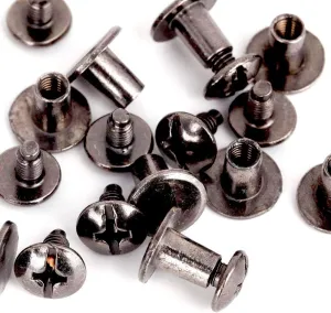 Round Flat Head Chicago Screws Buttons for Leather Crafting, 1/4 Inches (6mm) Repair Screw Post Fastener, Metal Nail Rivet Studs, Black Gunmetal, 100 Sets, Diameter 5/16 Inches (8mm)