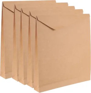 SEWOART 5Pcs Paper Bags for Party Favors Present Wrapping and Clothing Storage Versatile Paper Present Bags for Crafts Merchandise and Events