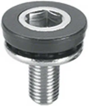 Truvativ M8 Capless Steel Crank Bolts Pair