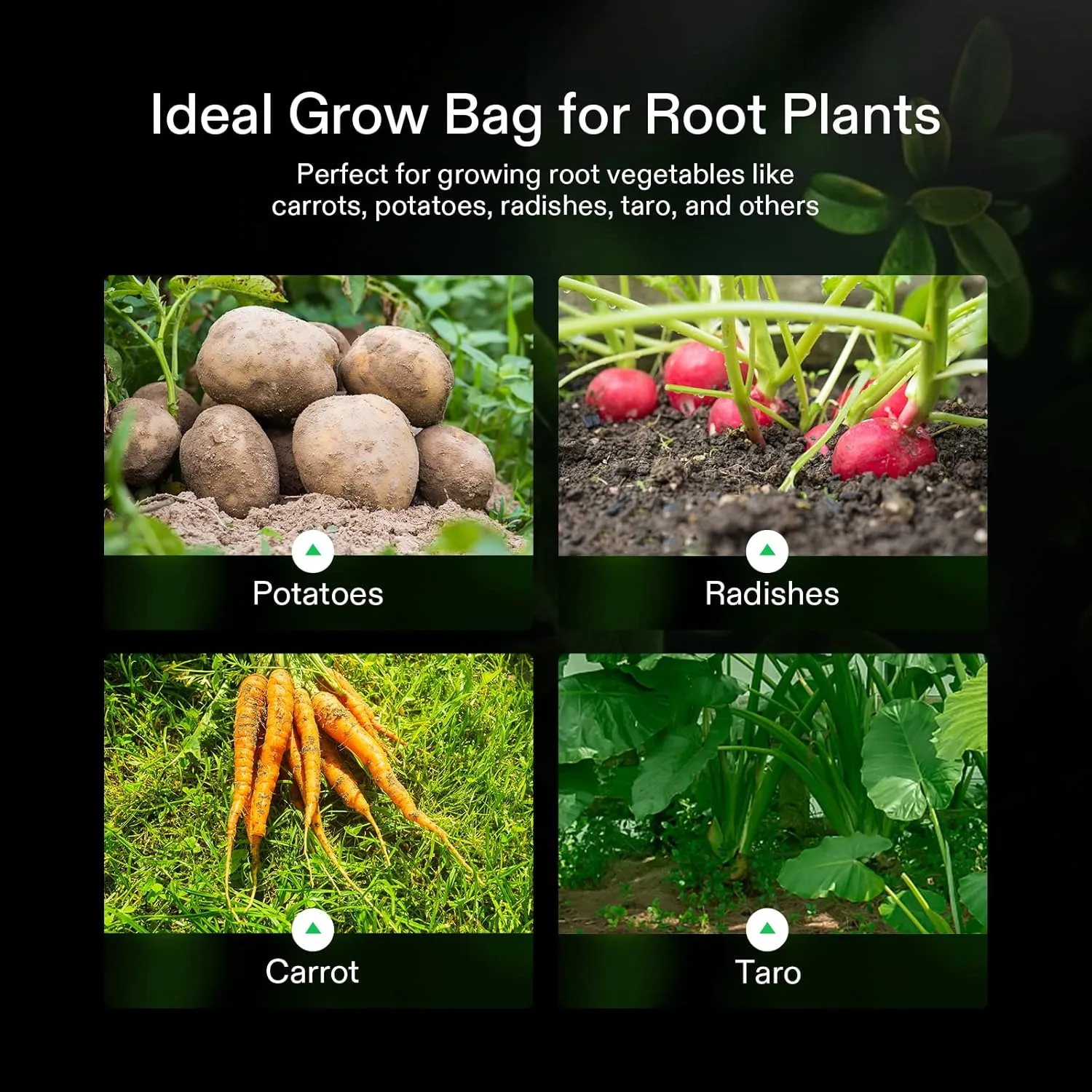VIVOSUN 50-Pack 5 Gallon Grow Bags for Plants, Black-and-White Thick Plastic Bags for Potting Seedlings, and Rooting